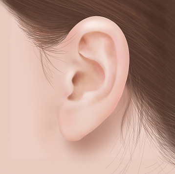 정상