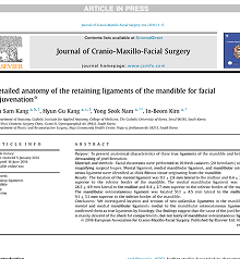 Journal of Cranio-Maxillo-Facial Surgery