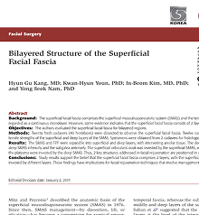 Bilayered Structure of the Superficial  Facial Fascia